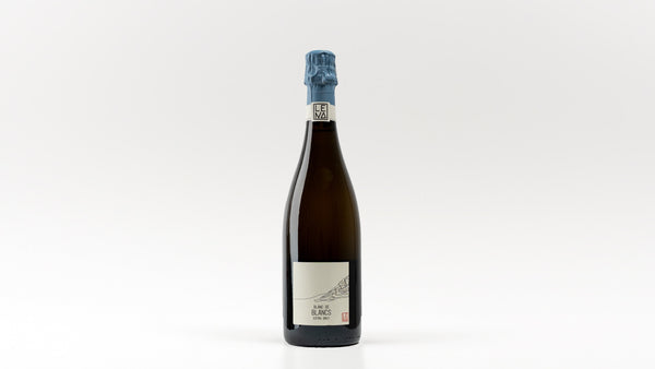 LENA Singer Fischer BLANCS Blanc de Blancs Sekt Extra Brut 2021