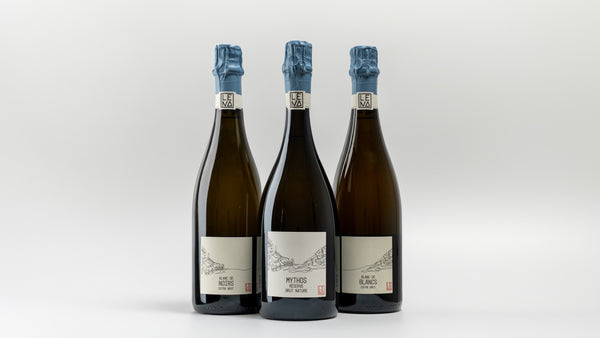 LENA NOIRS Blanc de Noirs Sekt Extra Brut - Bester Sekt Vinum Sektaward 2023