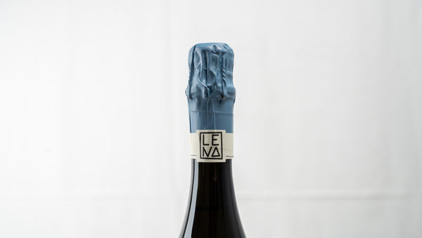 LENA Singer Fischer BLANCS Blanc de Blancs Sekt Extra Brut 2021