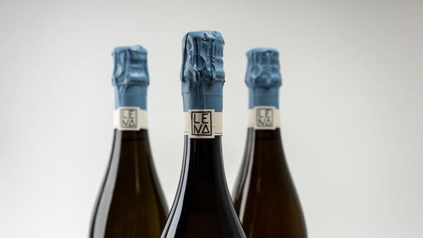 LENA NOIRS Blanc de Noirs Sekt Extra Brut - Bester Sekt Vinum Sektaward 2023