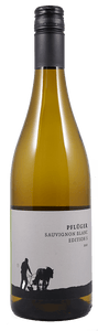 Weingut Pflüger Sauvignon Blanc vom Quarzit trocken 2023