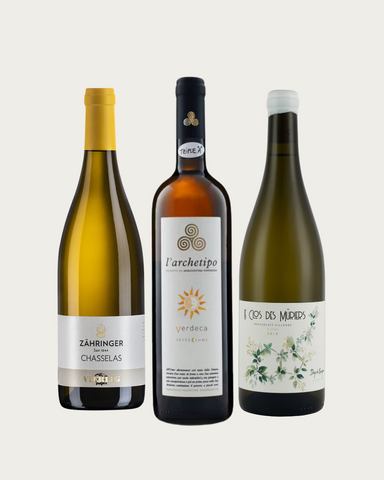 Spätsommer Weißwein Paket!