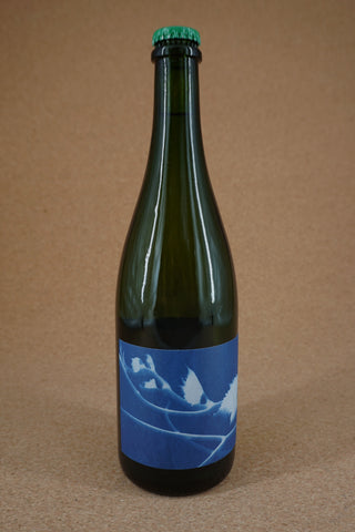 Thomas Puéchavy Le Rayon Chenin Blanc Loire 2022