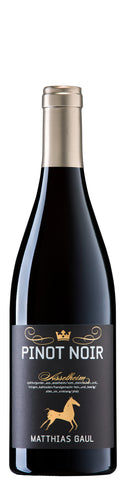 Weingut Matthias Gaul Pinot Noir Asselheim Pfalz 2022