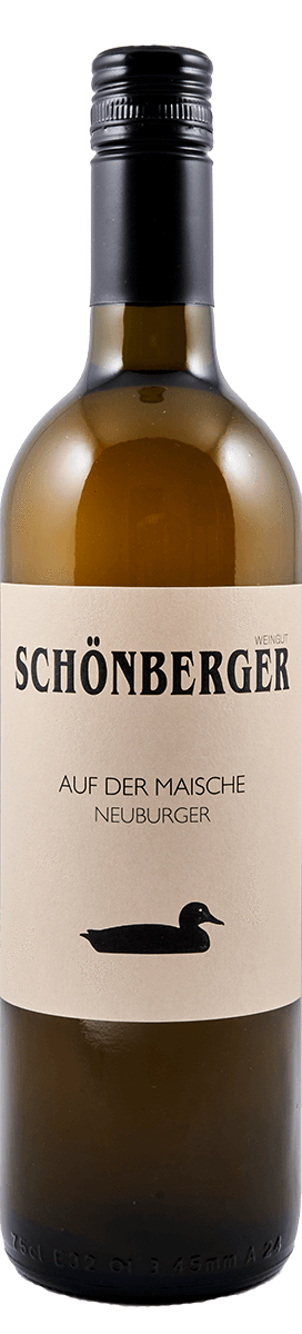 Schönberger Neuburger auf der Maische 2016