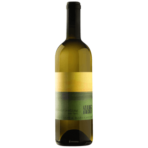 Weingut Maria & Sepp Muster Welschriesling vom Opok 2020