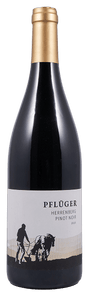 Weingut Pflüger Pinot Noir Herrenberg Große Lage 2020